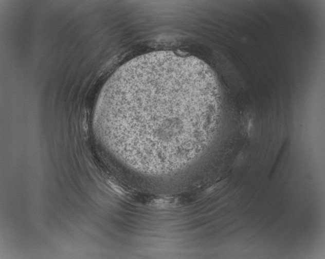 X0000076300232200610201555