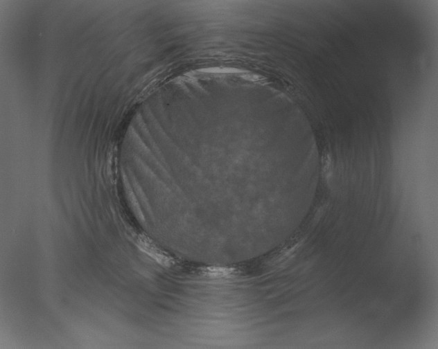 X0000076300233200610201555