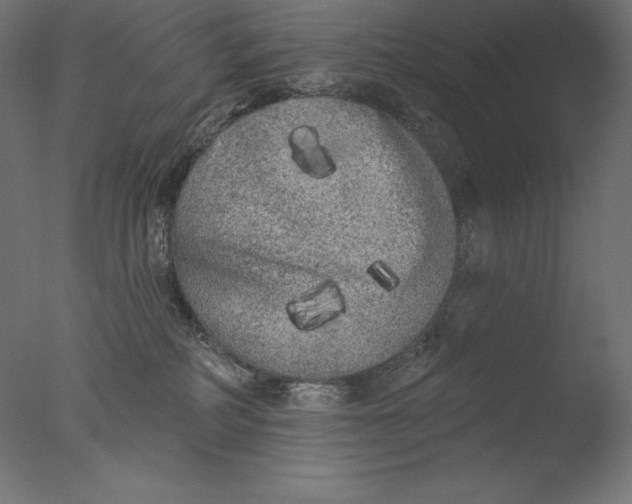 X0000076300234200610201555