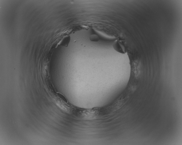 X0000076300235200610201555