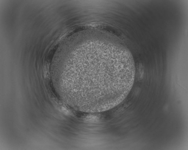 X0000076300236200610201555