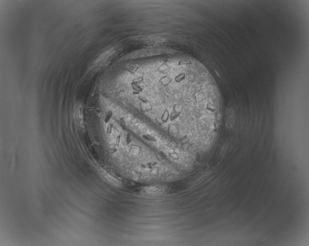 X0000076300238200610201554