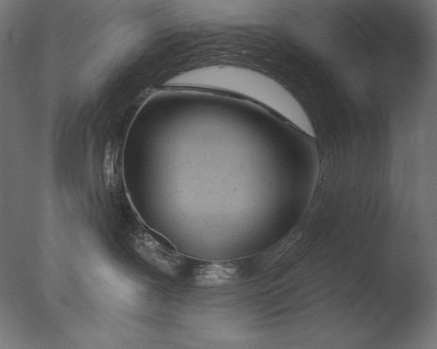 X0000076300239200610201554