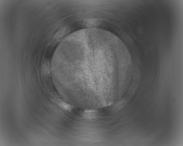 X0000076300240200610201554