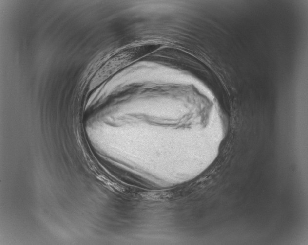 X0000076300241200610201554