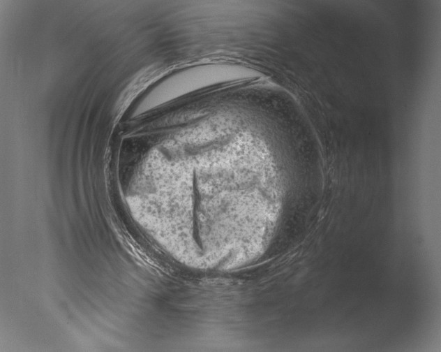 X0000076300242200610201554