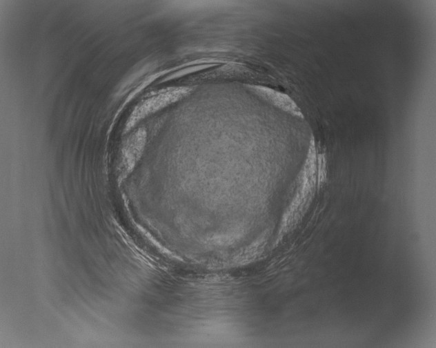 X0000076300243200610201554