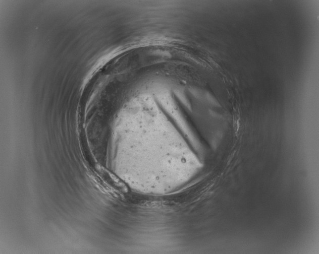 X0000076300244200610201554