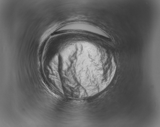 X0000076300245200610201554