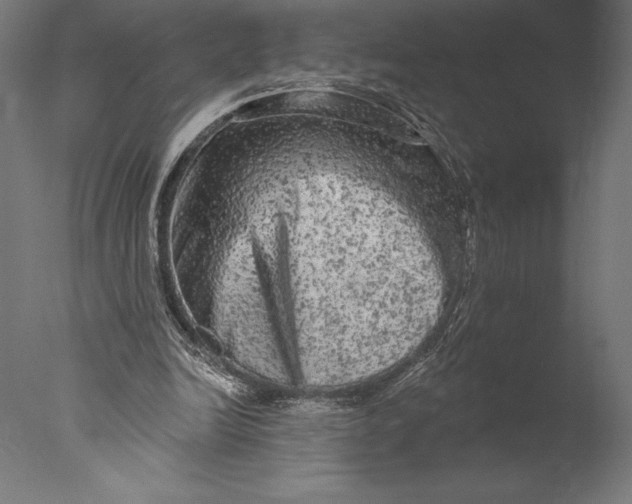 X0000076300246200610201554