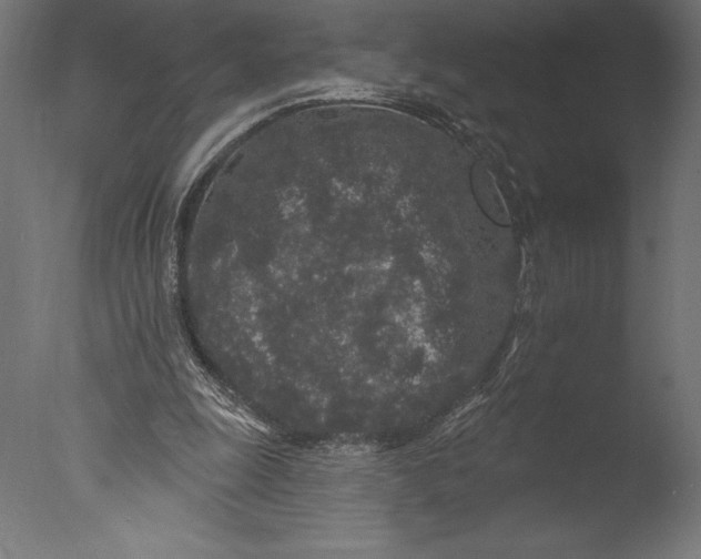 X0000076300247200610201554