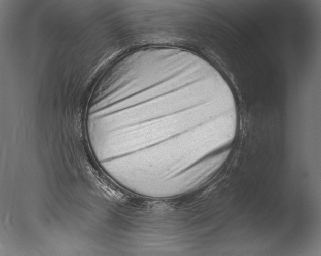 X0000076300249200610201554