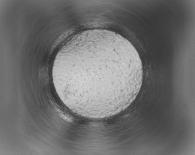 X0000076300250200610201554