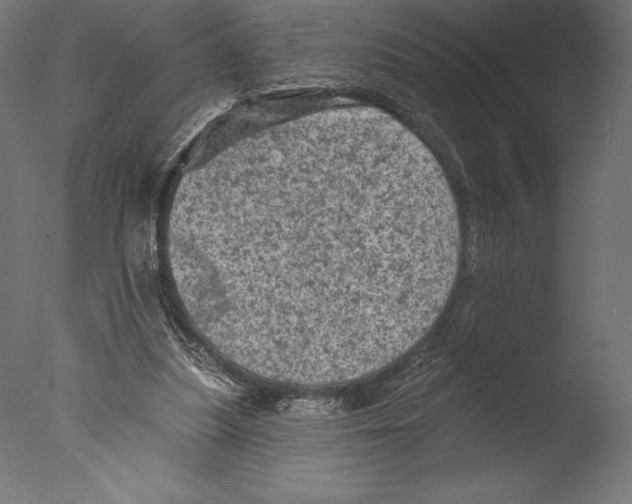 X0000076300251200610201554