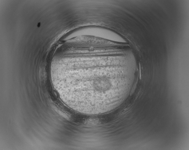 X0000076300252200610201554