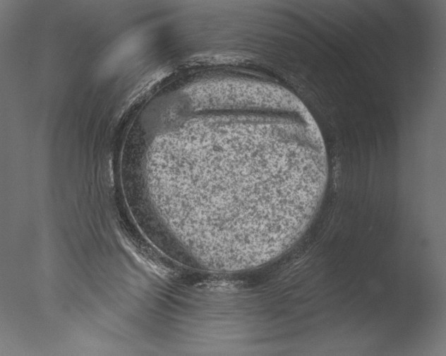 X0000076300254200610201554