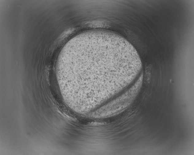 X0000076300255200610201554