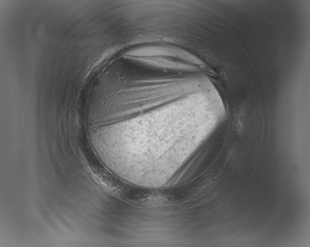 X0000076300256200610201554