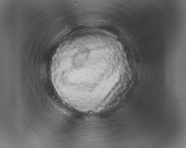 X0000076300258200610201554