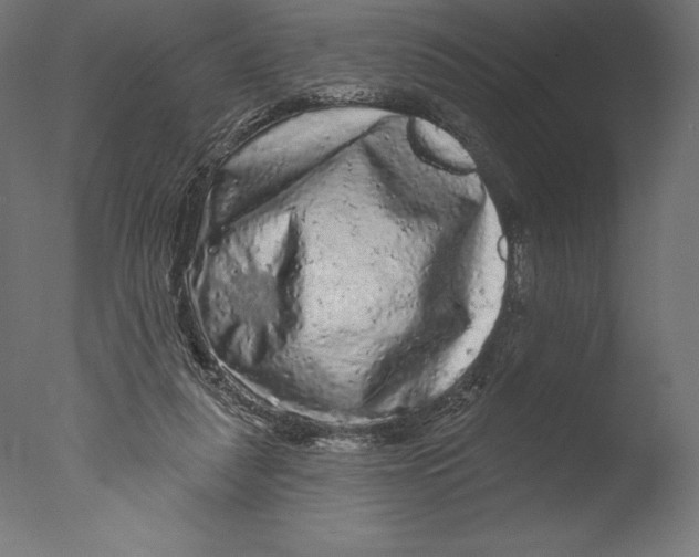 X0000076300259200610201554