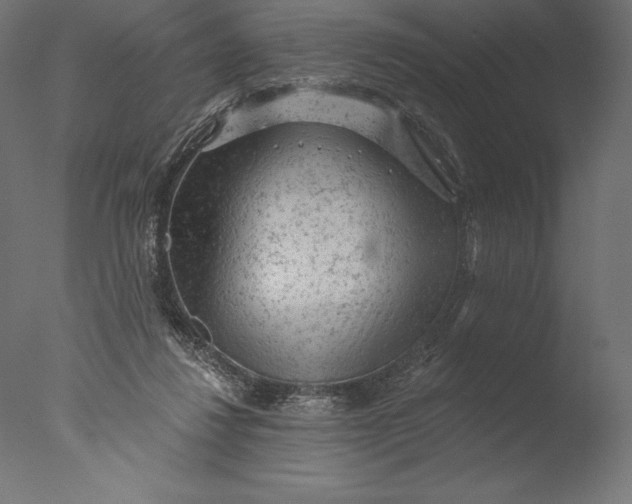 X0000076300260200610201554