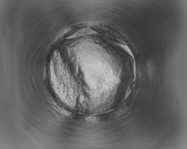 X0000076300261200610201554