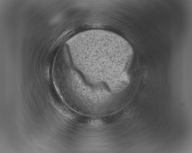 X0000076300262200610201554