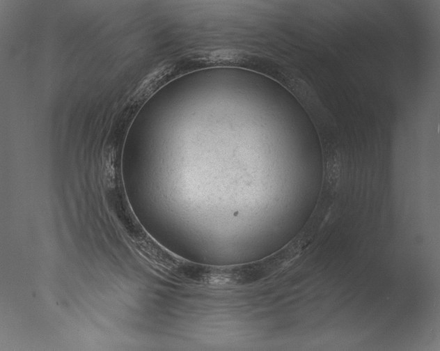 X0000076300264200610201554