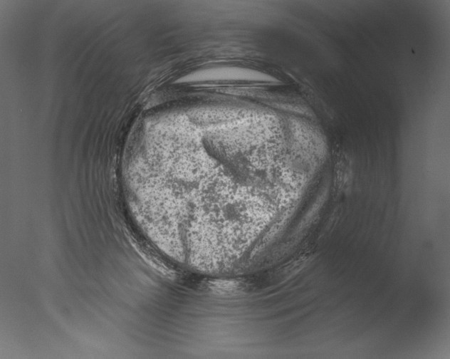 X0000076300265200610201554