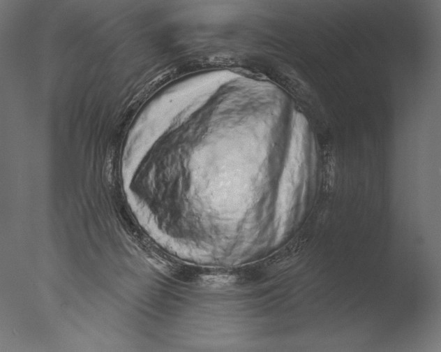 X0000076300266200610201554