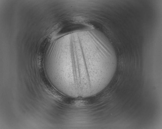 X0000076300268200610201554