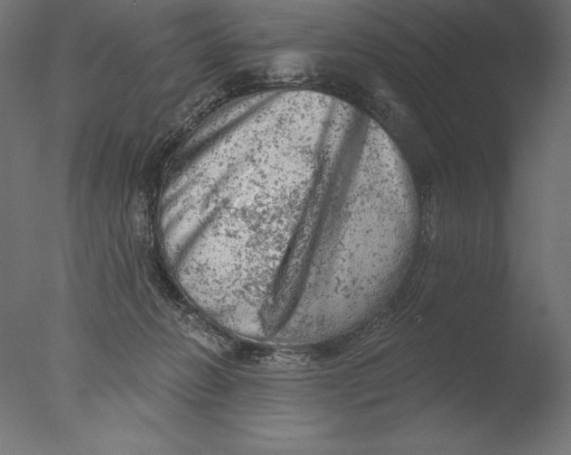 X0000076300270200610201554