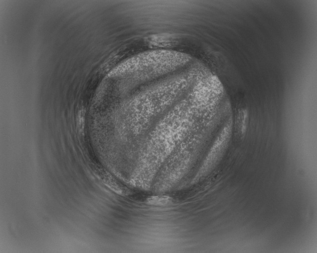 X0000076300271200610201554