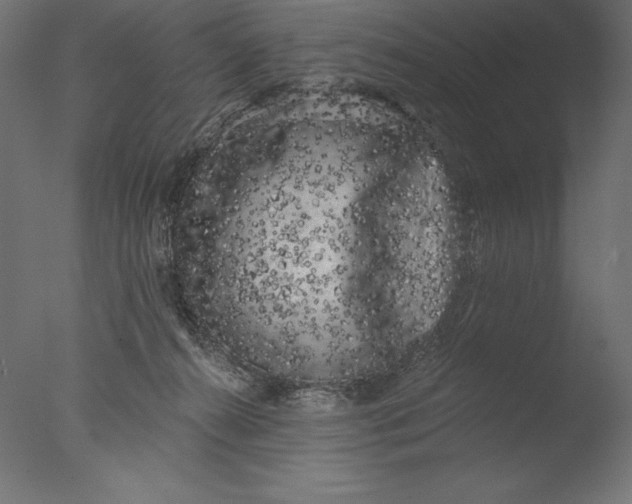 X0000076300272200610201554