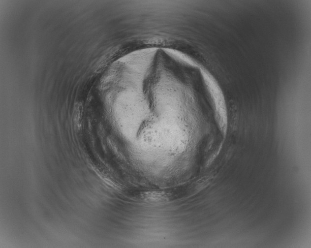 X0000076300273200610201554