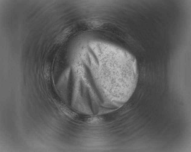 X0000076300274200610201554