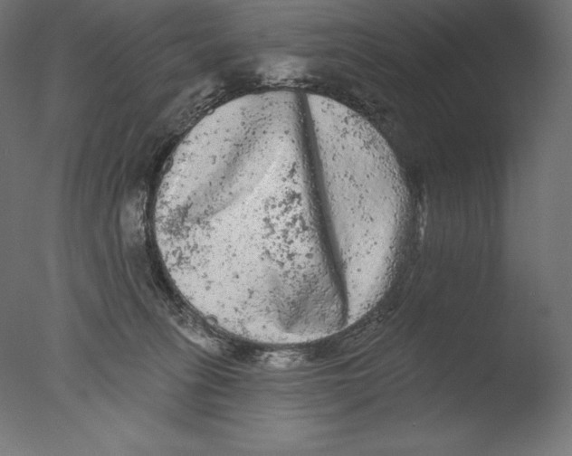 X0000076300275200610201554