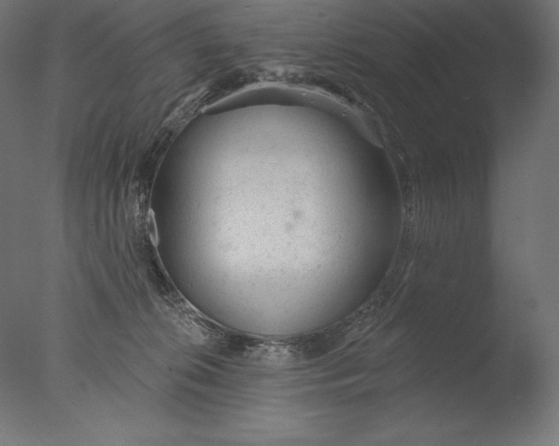 X0000076300276200610201554