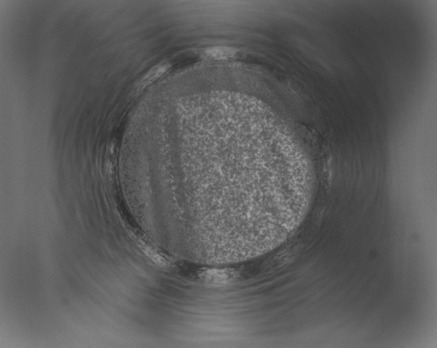 X0000076300277200610201554