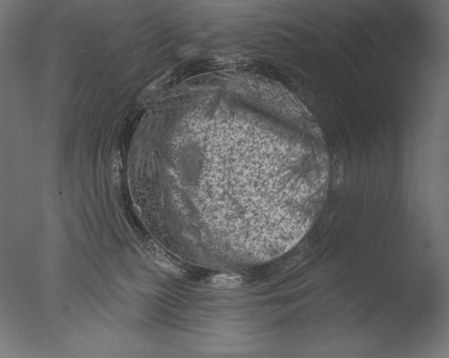 X0000076300279200610201554