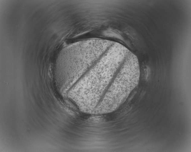 X0000076300280200610201554