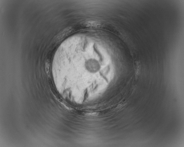 X0000076300281200610201554