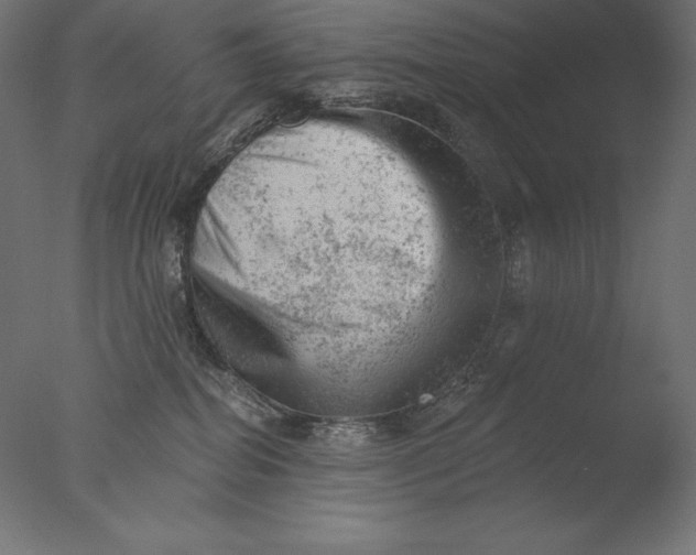 X0000076300282200610201554