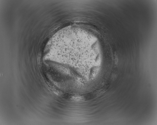 X0000076300283200610201554