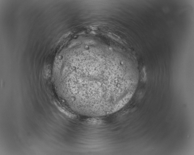 X0000076300284200610201554