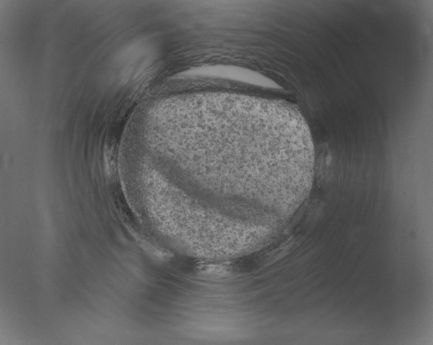 X0000076300285200610201554