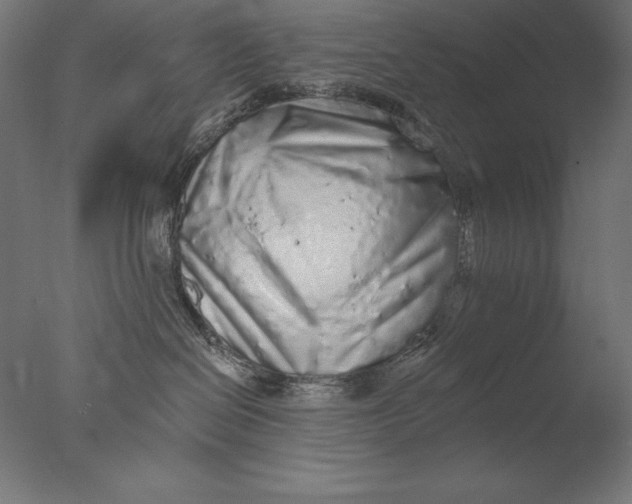 X0000076300286200610201554