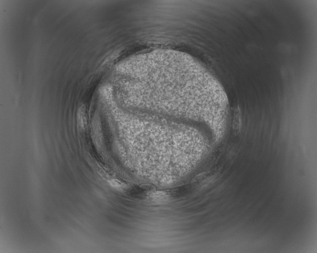 X0000076300287200610201554