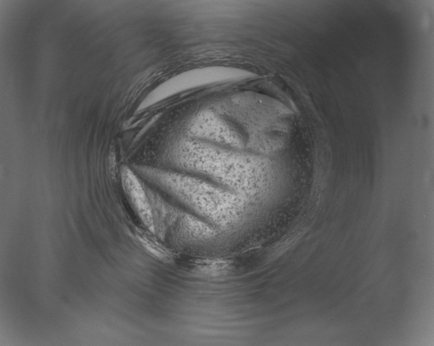 X0000076300288200610201554