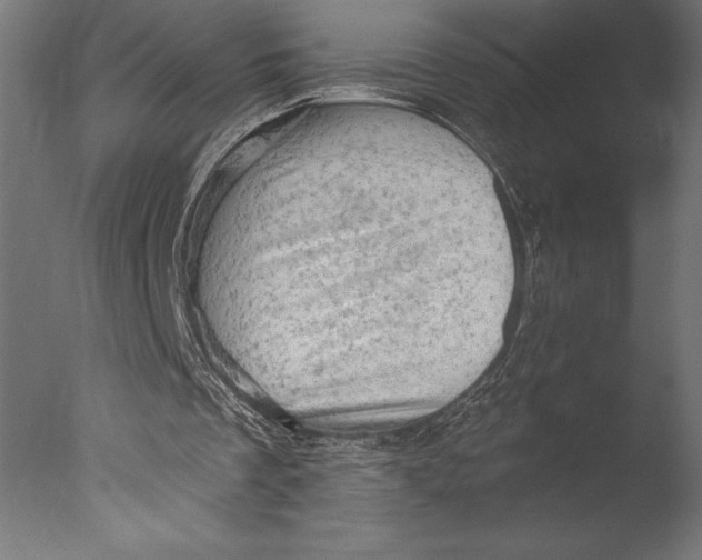 X0000076300289200610201554